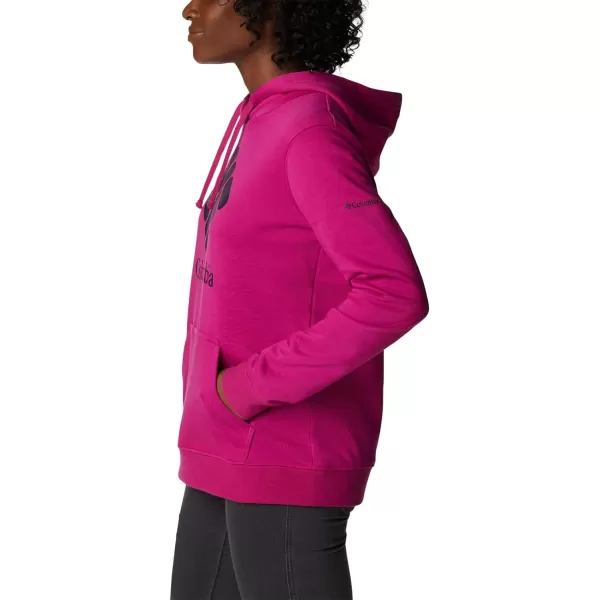 Columbia Women's Trek Graphic Hoodie