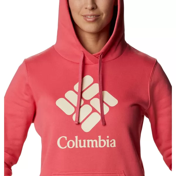 Columbia Women's Trek Graphic Hoodie