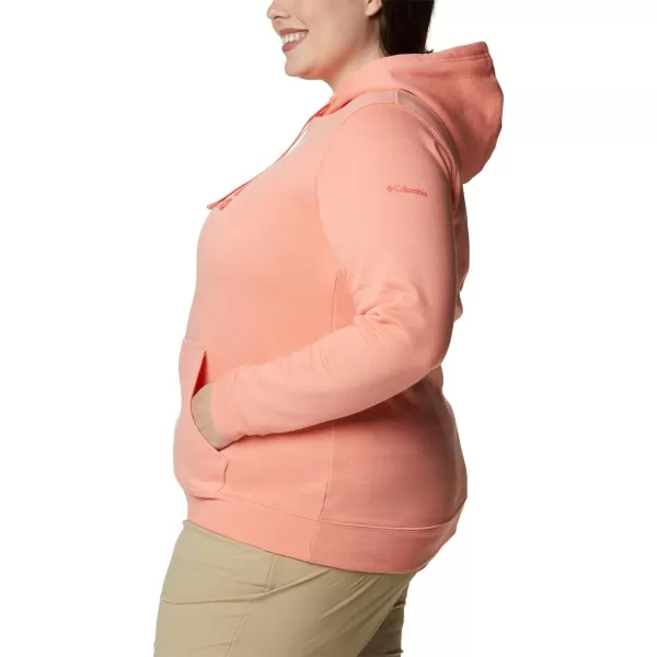 Columbia Women's Trek Graphic Hoodie