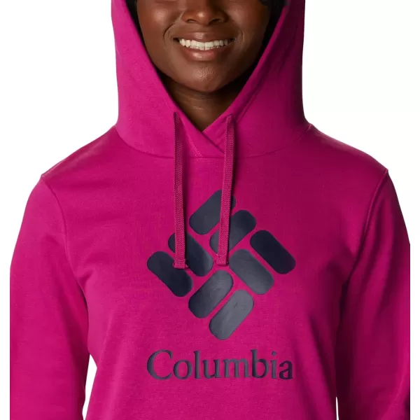 Columbia Women's Trek Graphic Hoodie