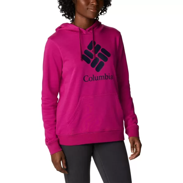 Columbia Women's Trek Graphic Hoodie