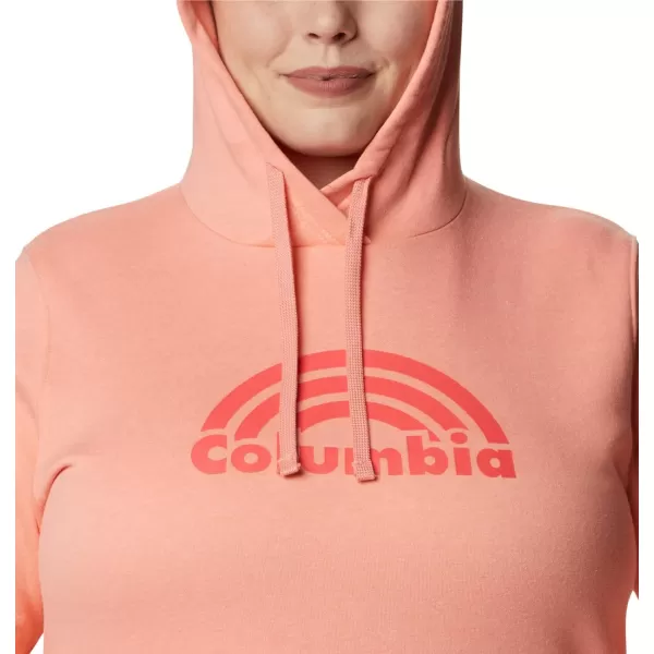 Columbia Women's Trek Graphic Hoodie