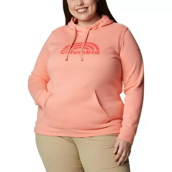 Columbia Women's Trek Graphic Hoodie