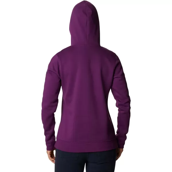 Columbia Women's Trek Graphic Hoodie
