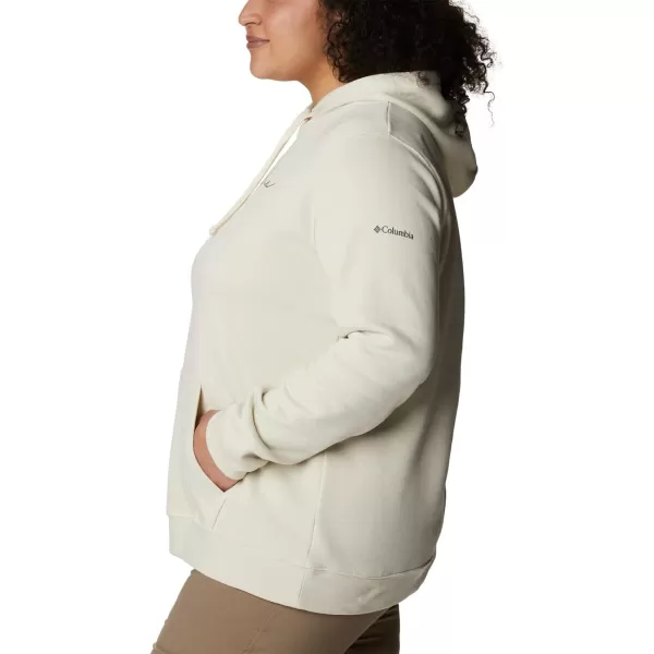 Columbia Women's Trek Graphic Hoodie