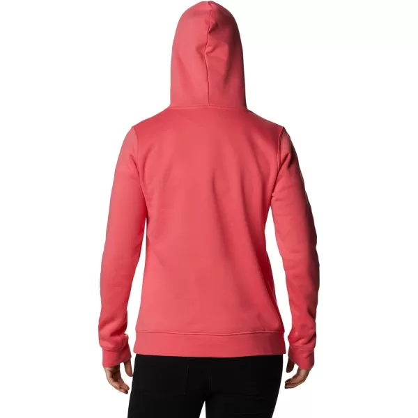 Columbia Women's Trek Graphic Hoodie