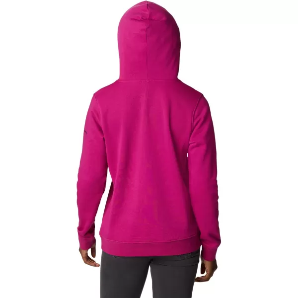 Columbia Women's Trek Graphic Hoodie