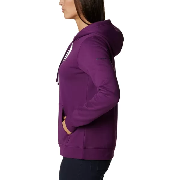 Columbia Women's Trek Graphic Hoodie