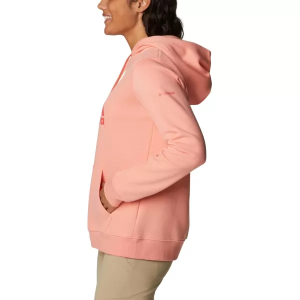 Columbia Women's Trek Graphic Hoodie