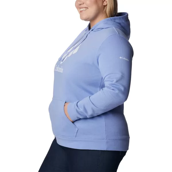 Columbia Women's Trek Graphic Hoodie