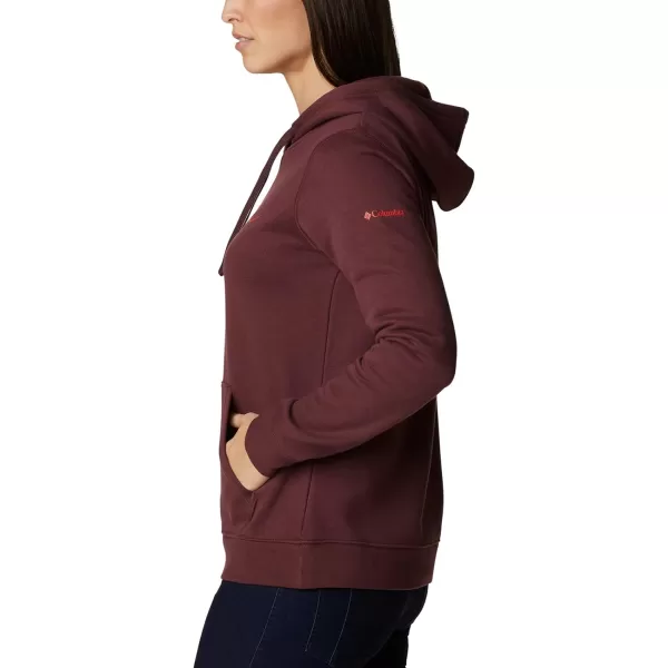 Columbia Women's Trek Graphic Hoodie