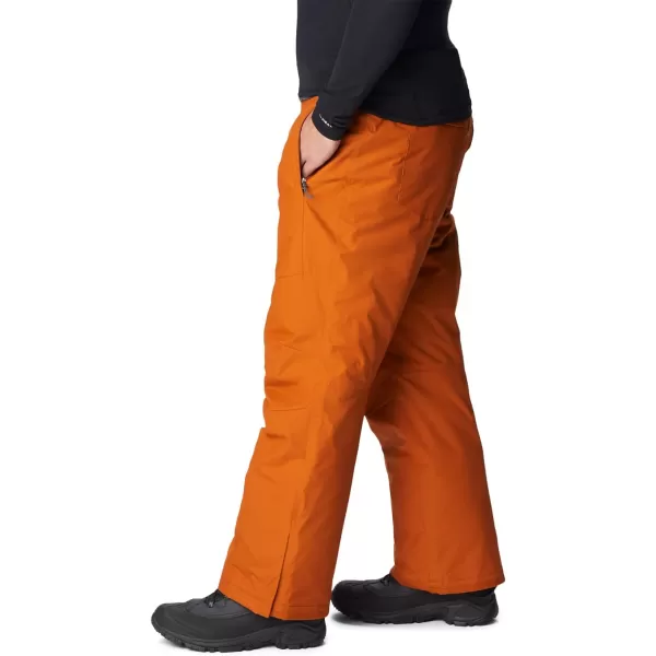 Columbia mens Bugaboo IV Snow Pant