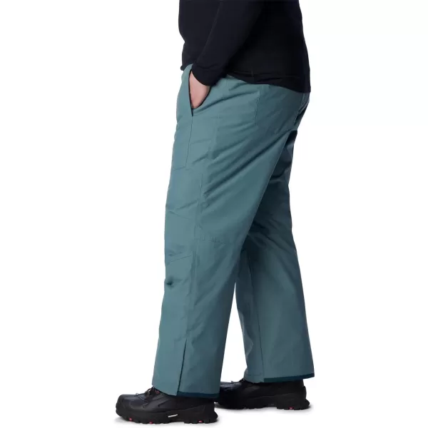 Columbia mens Bugaboo IV Snow Pant