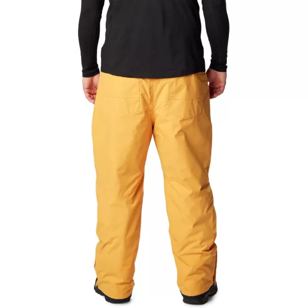 Columbia mens Bugaboo IV Snow Pant