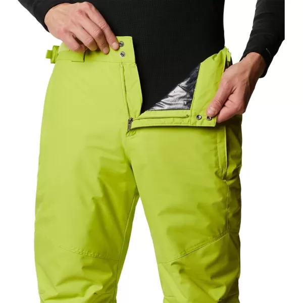 Columbia mens Bugaboo IV Snow Pant