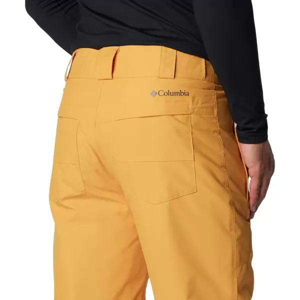 Columbia mens Bugaboo IV Snow Pant