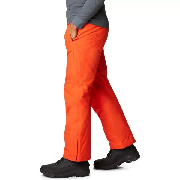 Columbia mens Bugaboo IV Snow Pant