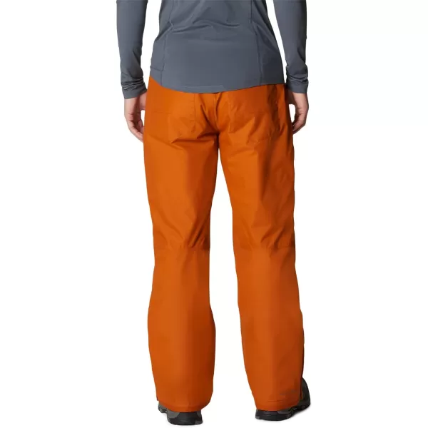 Columbia mens Bugaboo IV Snow Pant