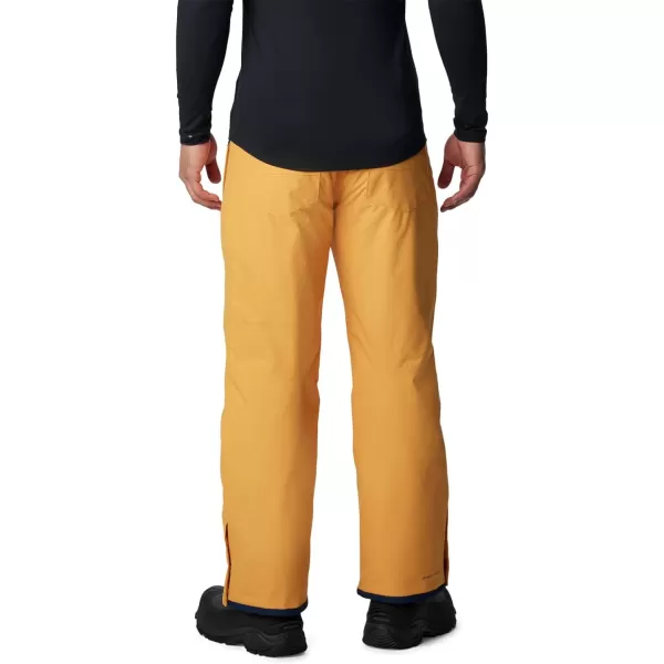 Columbia mens Bugaboo IV Snow Pant