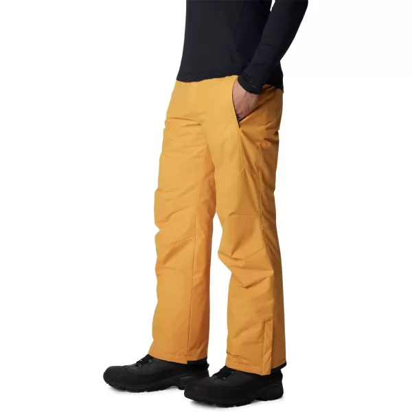 Columbia mens Bugaboo IV Snow Pant