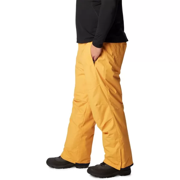 Columbia mens Bugaboo IV Snow Pant