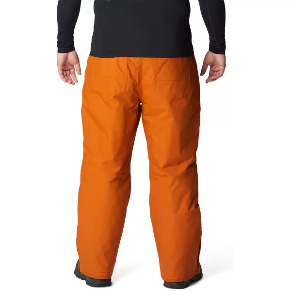 Columbia mens Bugaboo IV Snow Pant