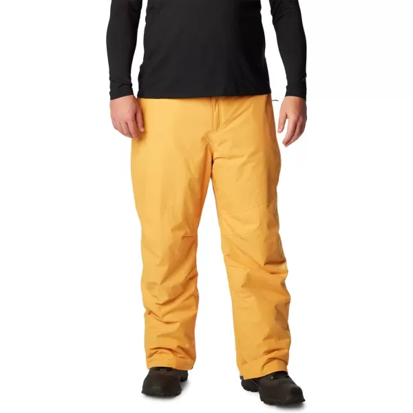 Columbia mens Bugaboo IV Snow Pant