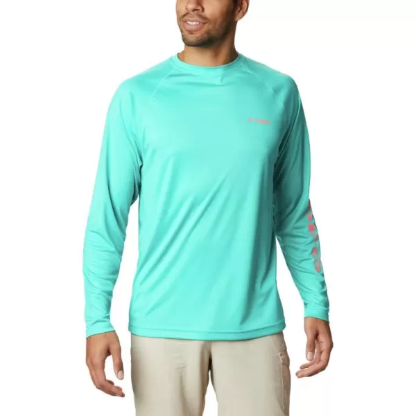 Bright Aqua/Salmon Logo