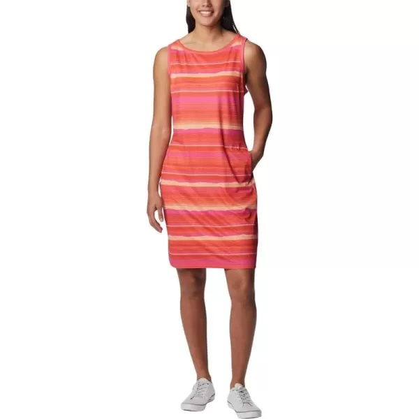 Columbia Women's Chill River Printed Dress