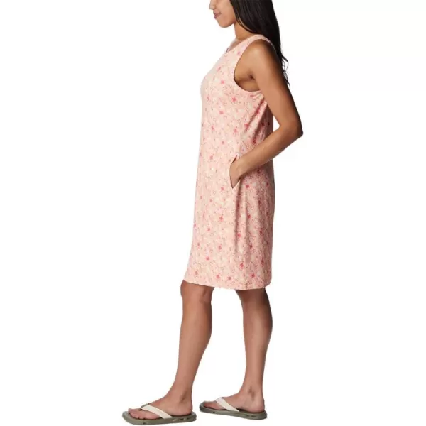 Columbia Women's Chill River Printed Dress