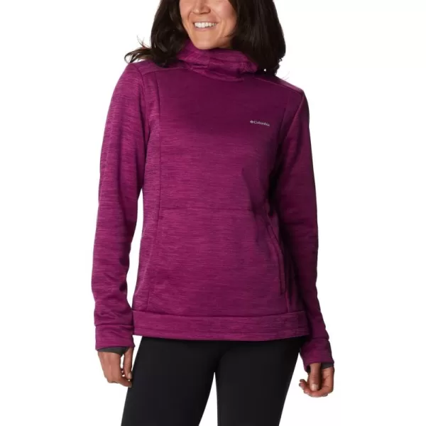 Columbia Women's Claudia Ridge Fleece