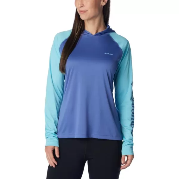 Columbia Women's Fork Stream Ls Hoodie