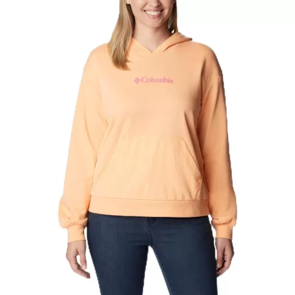 Columbia Women's Logo Iii French Terry Hoodie