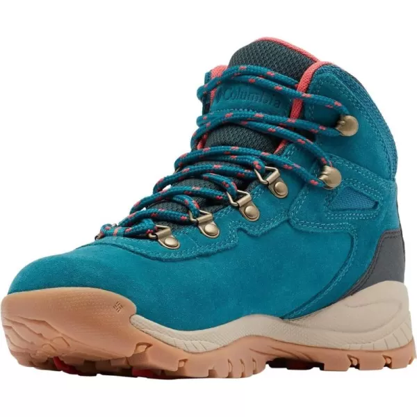 Columbia Women's Newton Ridge Plus Waterproof Amped Hiking Boot