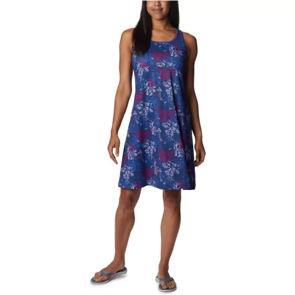 Columbia Women's PFG Freezer III Dress