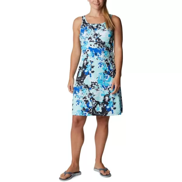 Columbia Women's PFG Freezer III Dress