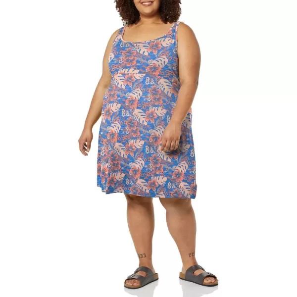 Columbia Women's PFG Freezer III Dress