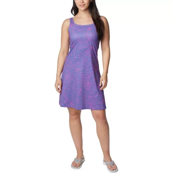 Columbia Women's PFG Freezer III Dress
