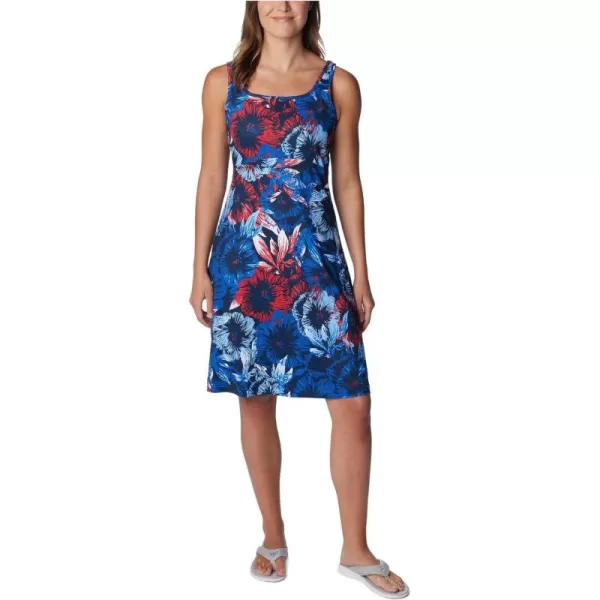 Columbia Women's PFG Freezer III Dress