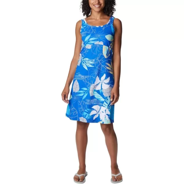 Columbia Women's PFG Freezer III Dress