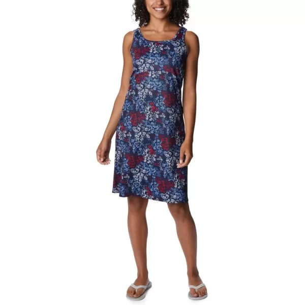 Columbia Women's PFG Freezer III Dress