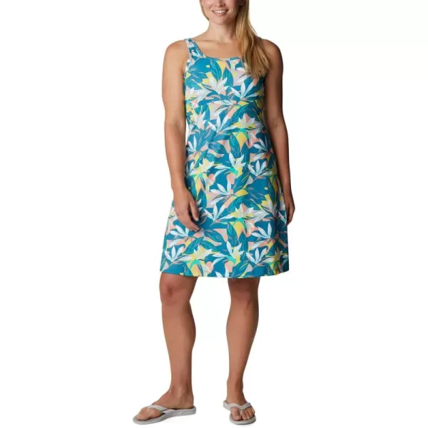 Columbia Women's PFG Freezer III Dress