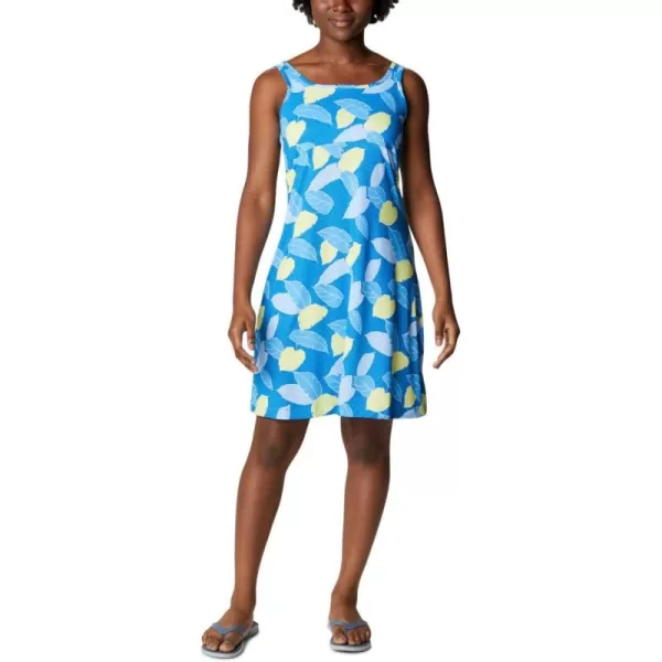 Columbia Women's PFG Freezer III Dress