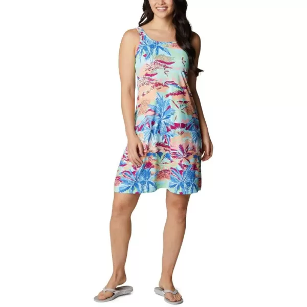 Columbia Women's PFG Freezer III Dress