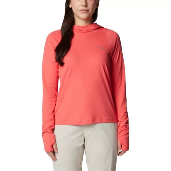 Columbia Women's Summit Valley Hoodie