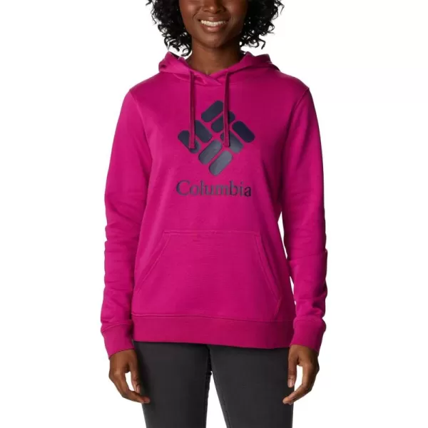 Columbia Women's Trek Graphic Hoodie