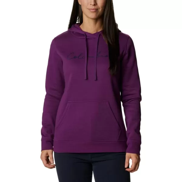 Columbia Women's Trek Graphic Hoodie