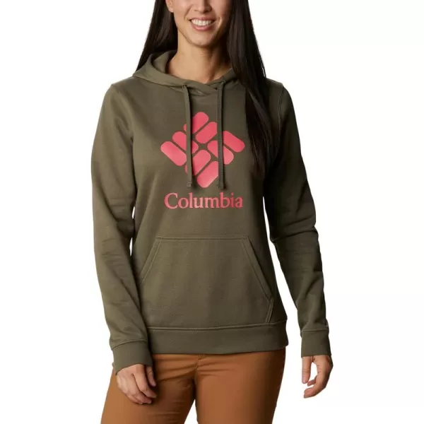 Columbia Women's Trek Graphic Hoodie