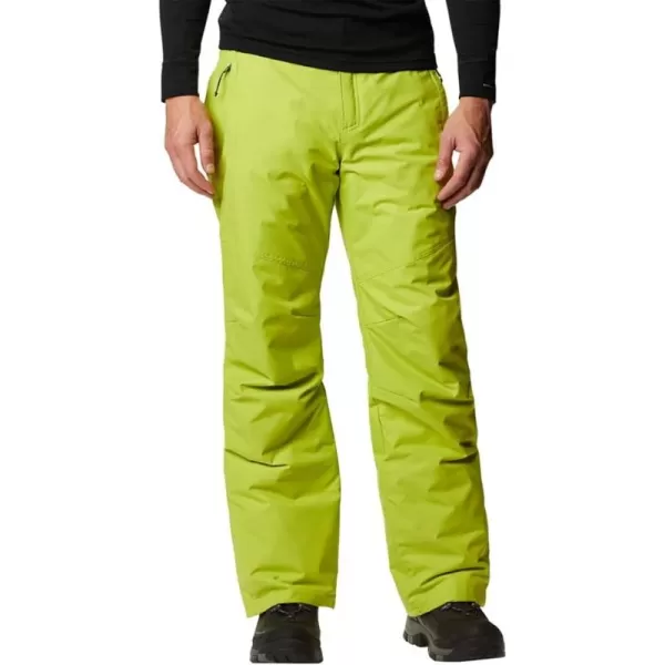Columbia mens Bugaboo IV Snow Pant