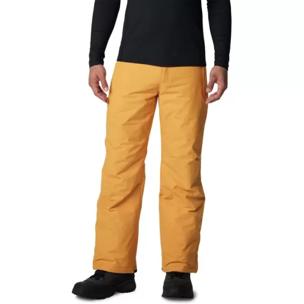 Columbia mens Bugaboo IV Snow Pant